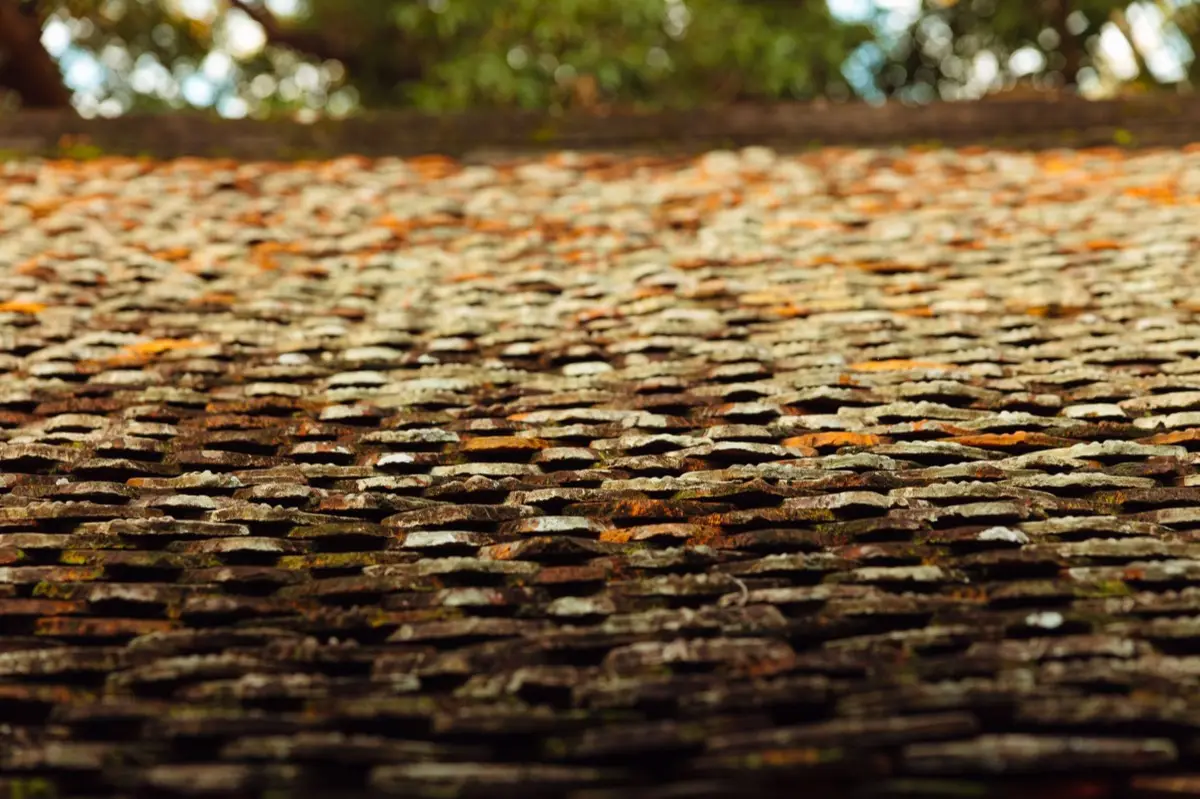 Aging shingle roof with moss growth and granule loss in Aloha, OR